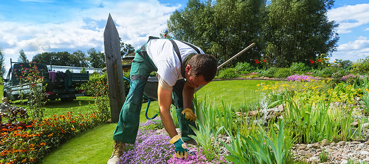L'horticulteur travaillant dans un magnifique jardin.