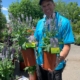 Patrice laterreur L'Horticulteur