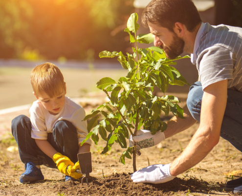 Un enfant et son père plantant un arbre ensemble